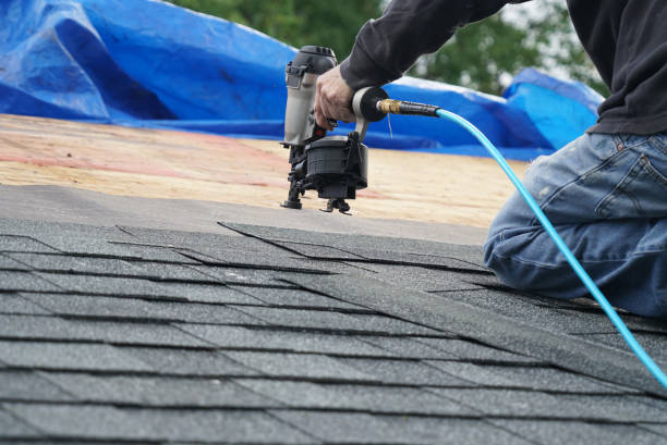 Best Roof Maintenance Services  in Belle Haven, VA